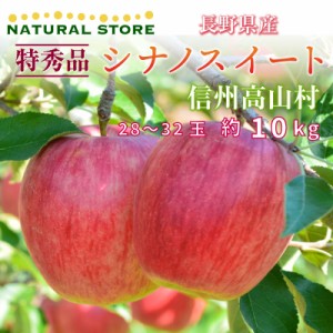 [予約 10月10日-11月30日の納品] 特秀 シナノスイート 28-32玉 約10kg 大玉 秋ギフト りんご 長野県 信州高山村 JA須高 高山共撰所