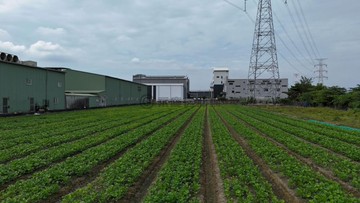 大寮都內農地稀有釋出投資自用皆宜｜高雄市大寮區磚子磘段