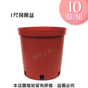 1尺荷蘭盆(栽培盆)10個/組