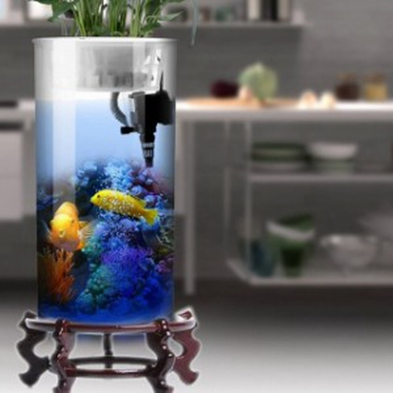 円筒形の水槽リビングルームガラス垂直水族館中小デスクトップフィルター金魚水槽 Fish Tank Height 66cm 通販 Lineポイント最大1 0 Get Lineショッピング