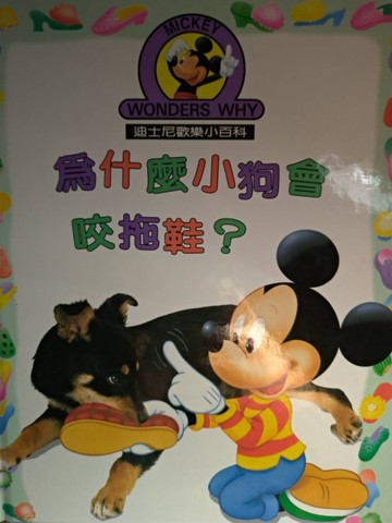 為什麼小狗會咬拖鞋？[二手書_良好]