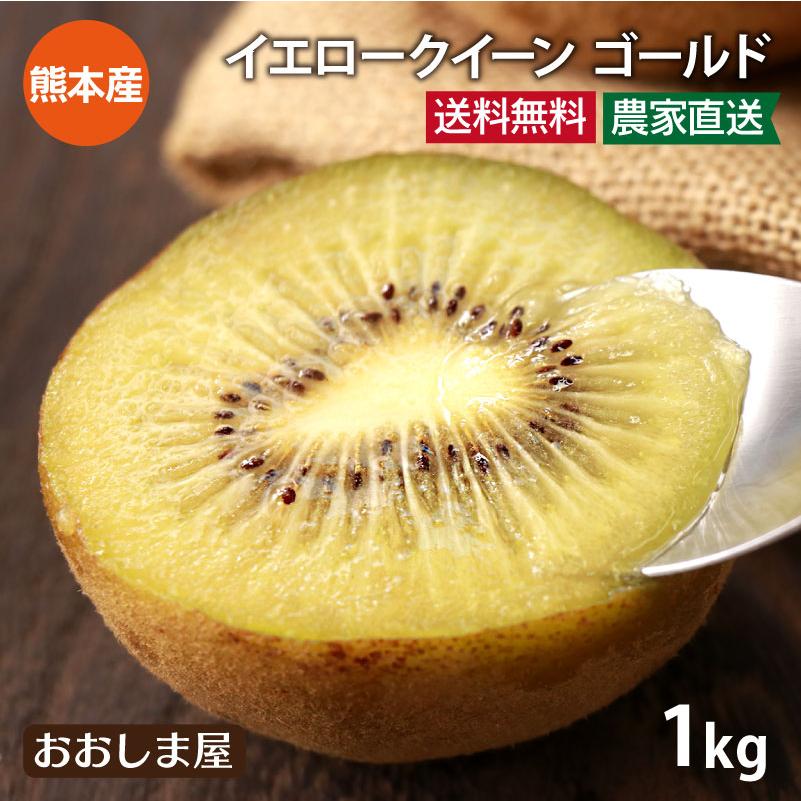 キウイ ゴールド 1kg 送料無料  ＜11月上旬より順次出荷＞ 国産 イエロークイーン さぬきゴールド 熊本産 産地直送 大嶌屋（おおしまや）