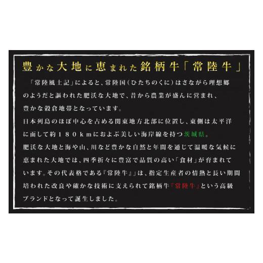 ふるさと納税 茨城県 行方市 DT-23常陸牛サーロインステーキ600g（300g×２枚）＋　美明豚ロースステーキ280g（140g…