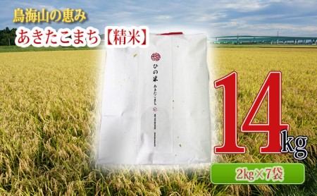 秋田県産 あきたこまち 精米 14kg（2kg×7袋）神宿る里の米「ひの米」（お米 小分け）