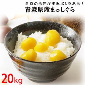 新米 令和5年産 まっしぐら20kg (10kgx2) お米 青森県産 まっしぐら 送料無料 白米 精米