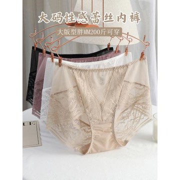 法式外貿性感蕾絲網紗內褲女中高腰無痕速干大碼胖mm三角褲2025新