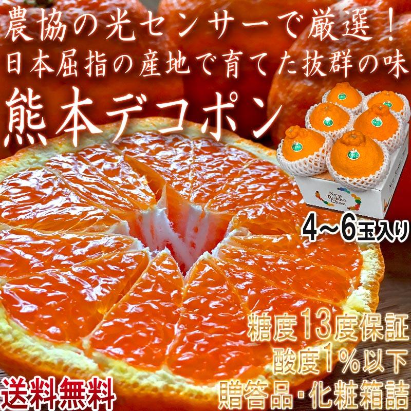 デコポン みかん 熊本県産 4〜6玉  しらぬひ 贈答規格 化粧箱入り JAくまもと 光センサー選果 糖度13度以上限定 糖度保証 栽培適地で育てた本場の美味しさ