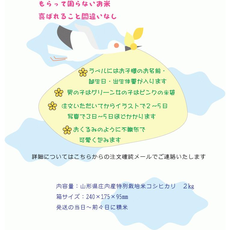 出産内祝いギフト　コシヒカリ２ｋｇ　Baby 米ビーミニ　出産祝いのお返しに　名入れラベル