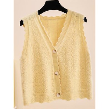 針織馬甲女秋冬寬松外搭背心保暖秋季百搭外穿外套毛衣短款小坎肩