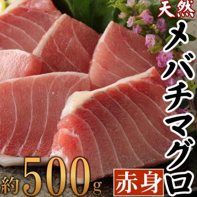 ふるさと納税 室戸市 厳選　天然めばちマグロ　赤身　約500g