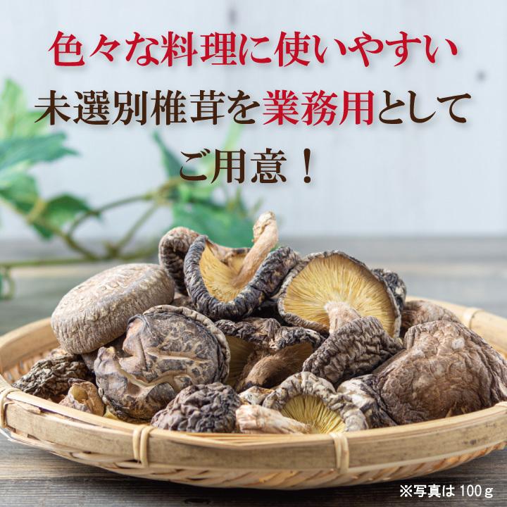 国内産未選別椎茸300ｇ　干し椎茸 国産 送料無料 業務用 無農薬 原木栽培