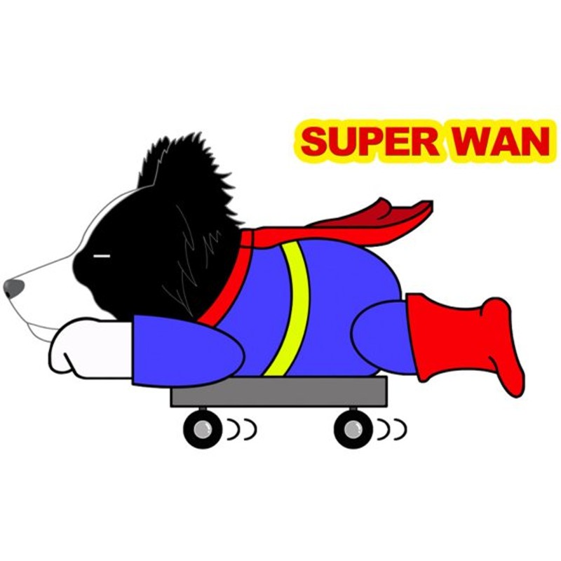 Superwanステッカー ボーダーコリー 立ち耳 犬 犬ステッカー 車 窓 玄関 犬種別 名前 ステッカー ドッグステッカー グッズ カーステッカー 通販 Lineポイント最大0 5 Get Lineショッピング