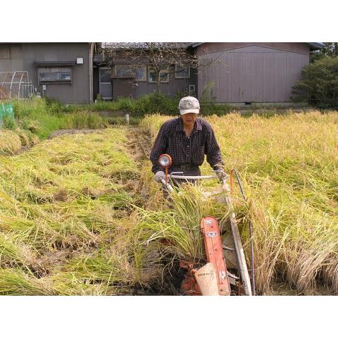 令和5年産 新米 無農薬 有機米 天日干し こしひかり 食用玄米 15ｋｇ 天地の誉 自然農法 新米 EM 農法 JAS 有機栽培米 オーガニック 有機 EM菌お米