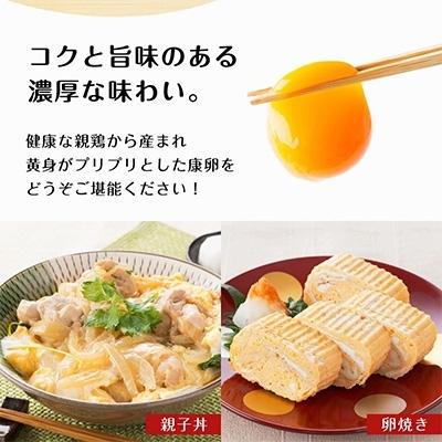 ふるさと納税 えびの市 えびのの大自然で育ったこだわりタマゴ「康卵」MSサイズ(216個)