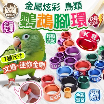 鸚鵡腳環【布萊恩👨🏻隔日到貨】鳥環 鳥類腳環 鳥腳環 金屬腳環 八哥腳環 和尚腳環 金太陽腳環 文鳥腳環  鸚鵡腳環