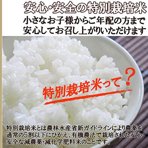 成澤農園 令和5年産 新米 山形県産 特別栽培米 はえぬき 白米 20キロ 5キロ×4