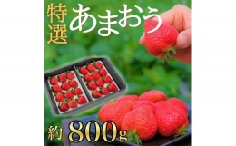 厳選あまおう　800ｇ