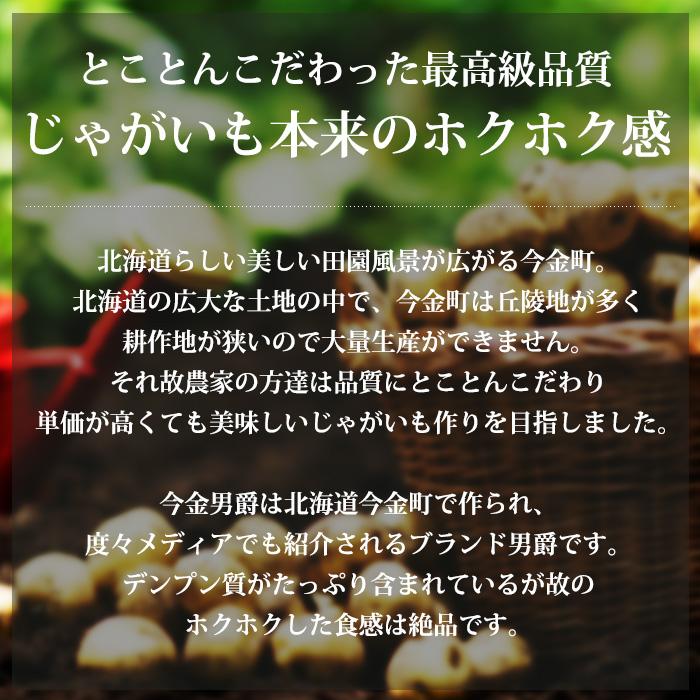 じゃがいも 北海道産 今金男爵 約10kg Lサイズ（約65個）又は2Lサイズ（約45個）