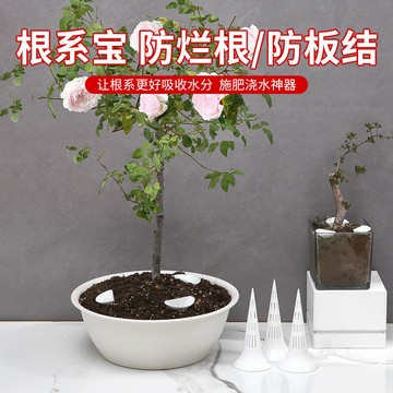 新款家用澆花澆水施肥神器 通用滲透錐透氣管 懶人澆花器 澆花神器 澆水 澆水器 灑花