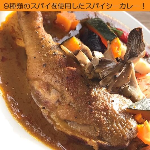 六ツ美のあの肉カレー中辛３個・辛口２個入り