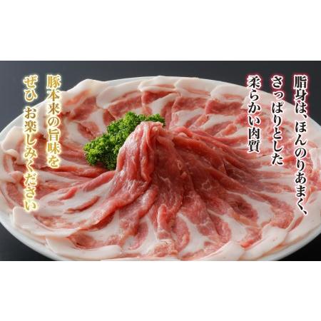 ふるさと納税 豚肉 石見ポーク BBQスペアリブ 島根県邑南町