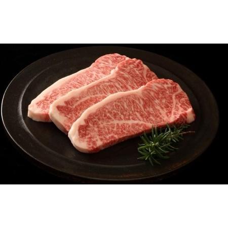 ふるさと納税 神戸牛 サーロインステーキ＆切り落とし肉 お試し用 牛肉 和牛 お肉 サーロイン ステーキ肉 切り落とし 肉 牛丼 肉じゃが 炒め物に.. 兵庫県加西市