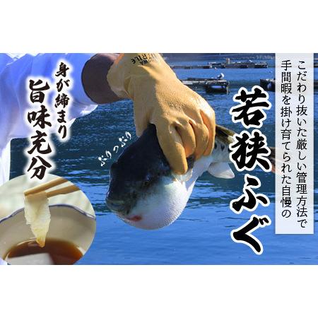 ふるさと納税   若狭ふぐ 料理 セット 4人前 [E-042001] 福井県小浜市