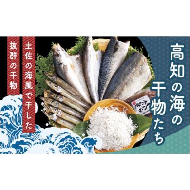 ふるさと納税 高知県 芸西村 高知の海の干物たち＜土佐の海風で干した抜群の干物を＞＜高知市・南国市共通返礼品＞