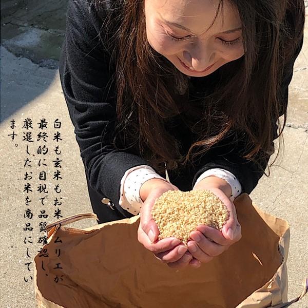 令和5年産　玄米　10kg　コシヒカリ　茨城県産　寿米流