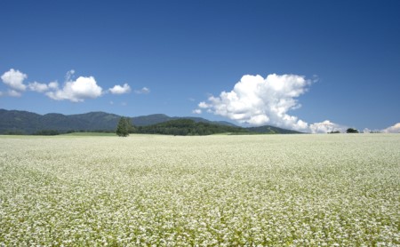 北海道幌加内 箱入そば5種バラエティセット