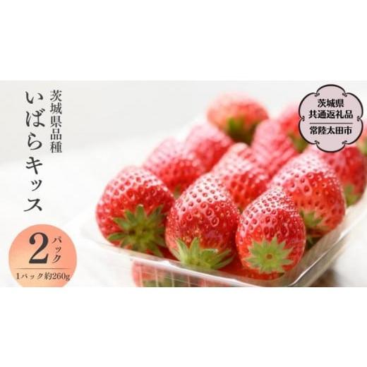 ふるさと納税 茨城県 桜川市  茨城県品種 いばらキッス  2パック × 1箱 （茨城県共通返礼品／常陸太田市） フルーツ 苺 イチゴ…