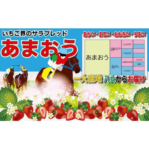 ふるさと納税 福岡県 八女市 九州・福岡からお届け！八女の恵み定期便 E｜＜配送不可：北海道・沖縄・離島＞