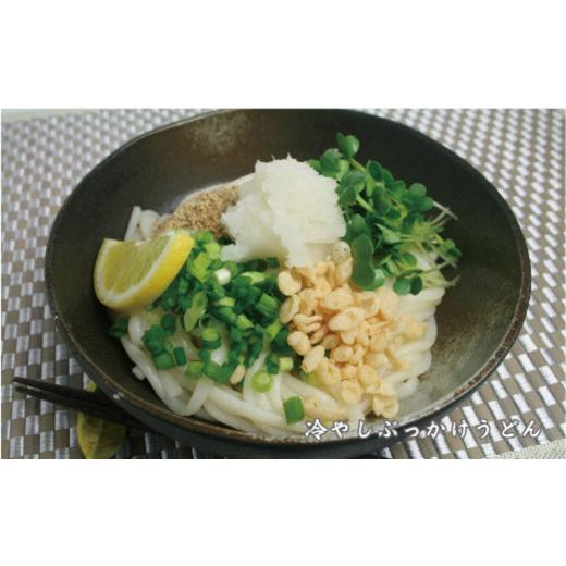 ふるさと納税 佐賀県 神埼市 ふっくらモチモチ神埼生うどん 10袋入 (H014125)