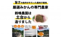 ＜12 26までの注文は年内発送＞ みかん ご家庭用　和歌山県有田川町産　有田みかん10kg