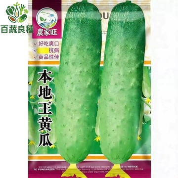 原裝本地王黃瓜種子 台灣品種 王瓜 刺瓜 小黃瓜 脆瓜 豐產品種 家庭菜園 陽台種植 好種 耐熱 早生 爬藤 收成快