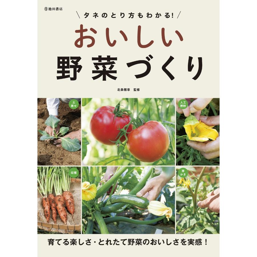 タネのとり方もわかる おいしい野菜づくり