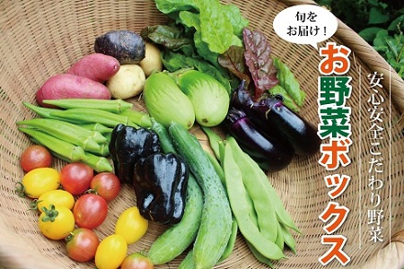 新鮮お野菜ボックス（京都・京丹波町産）≪栽培期間中農薬不使用の安心安全こだわり野菜≫[010SN001]