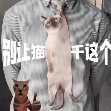 台灣出貨 貓咪領結 貓咪領帶 洋氣趣味裝飾 個性貓咪領帶 3D立體貓形領帶 印花搞怪創意百搭領結 男女同款領結 新年禮物