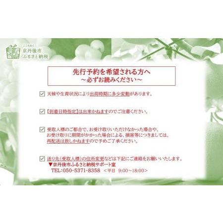 ふるさと納税 新興梨（訳あり） 5kg （7〜12玉）（2024年10月上旬〜発送） 京都府京丹後市