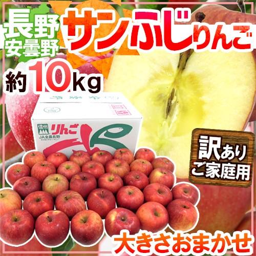 りんご 長野県 安曇野産 ”サンふじりんご” 訳あり 約10kg 大きさおまかせ 産地箱 送料無料