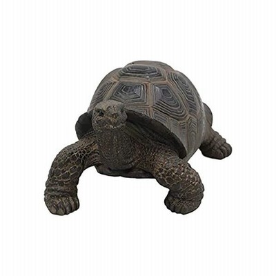 Ebros リアルな生きているような黄色ベリースライダー カメの置物 幅4 75インチ 剥製 レプリカ 風水 安定性と幸運のタリスマン 幸運のカメの置 通販 Lineポイント最大get Lineショッピング