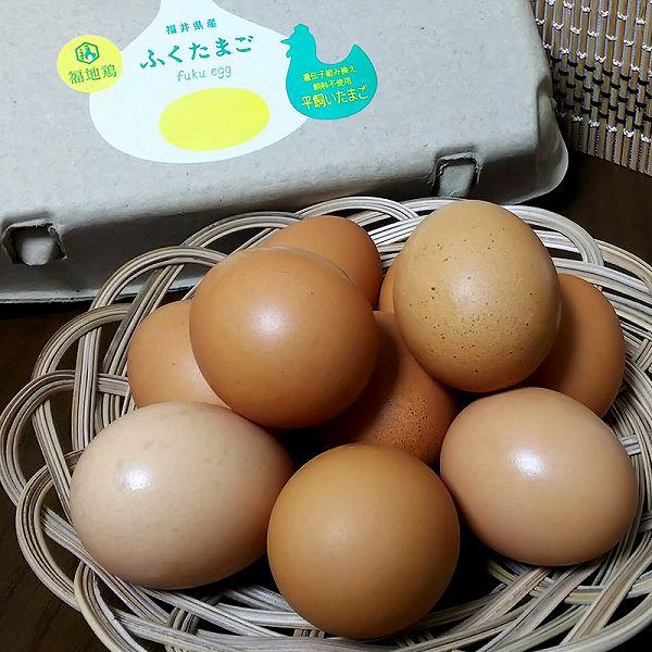 福地鶏ふくたまご20個＆にわとり農家の卵プリン6個 テトテヲ人気者セット 福井県 産地直送