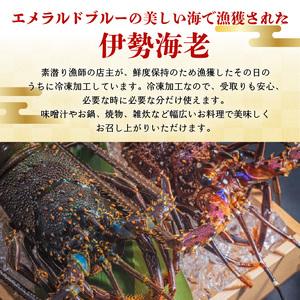 ふるさと納税 伊勢エビ冷凍　7kg 鹿児島県和泊町