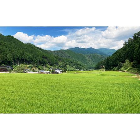 ふるさと納税 白米 10kg 令和6年産 コシヒカリ 岡山 あわくら源流米 K-ag-CDZA 岡山県西粟倉村