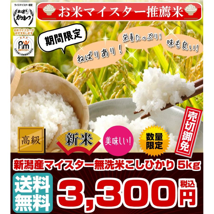 無洗米 新潟こしひかり 5kg 令和3年産 期間限定 米 お米 コシヒカリ 新米 新潟産 送料無料 タイムセール