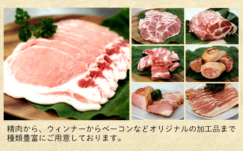 沖縄県産豚肉　豚ミンチ（粗挽き）約1.8kg（200g×9P）