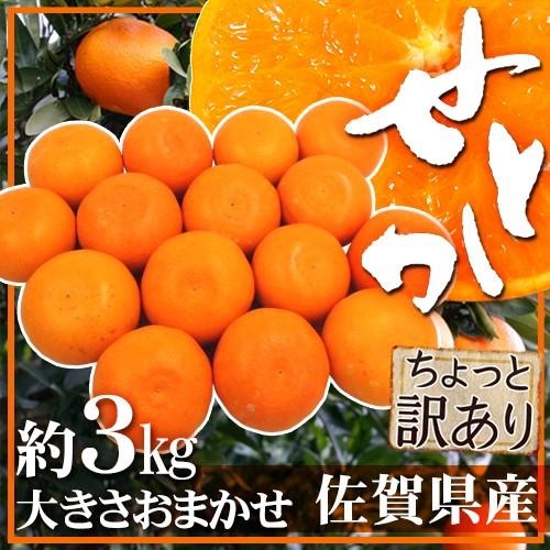 佐賀産 ”せとか” ちょっと訳あり 約3kg 大きさおまかせ 送料無料