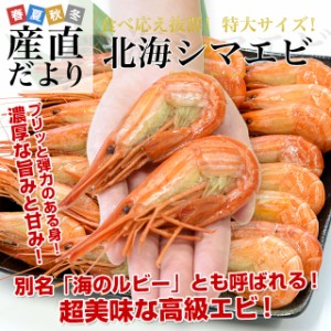 北海道より直送 特大 北海シマエビ Ｌサイズ 500ｇ(20尾前後) 送料無料 しまえび 縞えび エビ