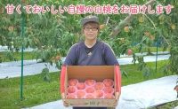 8月 田子の贈答用白桃約5kg(12～16玉)  