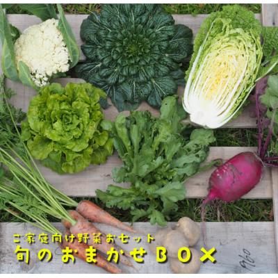 ふるさと納税 淡路市 ご家庭向けお野菜セット〜旬のおまかせBOX〜2回お届け